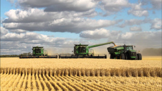 Green tractors wheat field clouds - a field of wheat free wallpaper