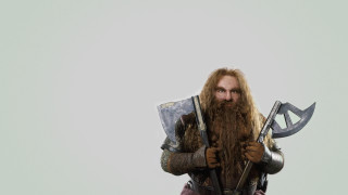 Man long beard axes shield - bertram brooker free wallpaper for desktop