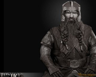 Man long hair beard helmet - long hair and a beard free wallpaper