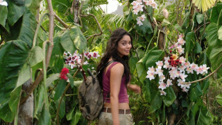 Woman walking lush green forest - a lush green forest free wallpaper