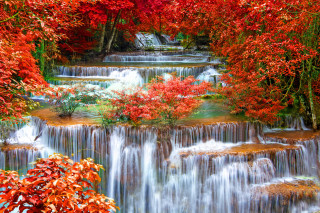 Waterfall fall foliage red trees - fall foliage free wallpaper