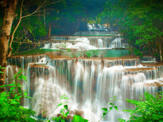 Waterfall cascading water trees nature - a bunch of water free wallpaper