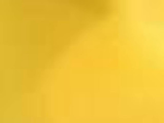 Yellow background cat top cat - the bottom of the picture free wallpaper for desktop