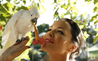 Woman holding white bird food - a piece of food free wallpaper