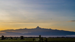 Mountain bird sky sunset dawn - anamorphic len free wallpaper for desktop