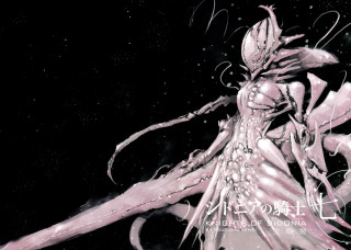 Woman long hair sword in 6 - long hair and a sword free wallpaper