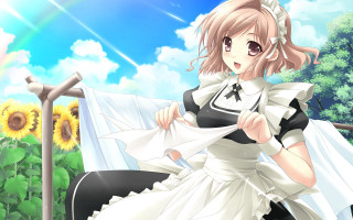 White dress sunflower field sky - hint of yayoi kasuma free wallpaper for desktop