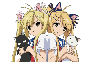 Blonde girls cat anime doll - the other holding free wallpaper for desktop