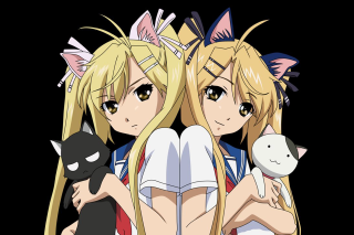 Anime girls blonde hair cat - their shoulder free wallpaper