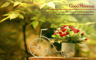Small bicycle flowers morning christmas - good morning free wallpaper