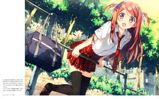 Aguri uchida school uniform suitcase - a girl in a school uniform free wallpaper for desktop