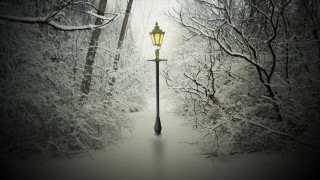 Street light snowy forest trees - side of it free wallpaper