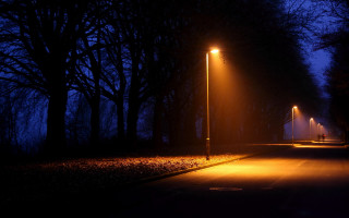 Street light night trees person - a street light free wallpaper