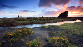 River green field cloudy sunset 2 - a lush green field under a cloudy sky free wallpaper