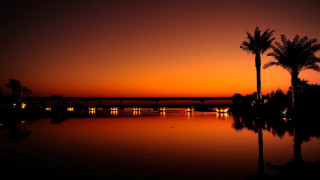 Sunset palm trees bridge reflection - a sunset free wallpaper for desktop