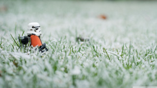 Toy stormtrooper grass frisbee bird - a frisbee free wallpaper