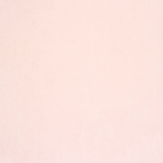 White wall black white cat 4 - a white wall free wallpaper for tablet