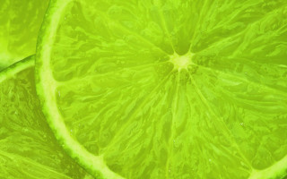 Lime slice water droplets green - art green free wallpaper