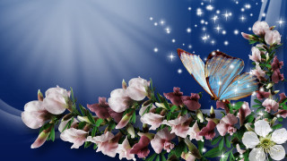 Blue butterfly flowers stars sky - cindy wright free wallpaper for desktop