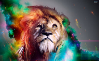 Lion colorful mane psychedelic aurora 2 - a white lion free wallpaper