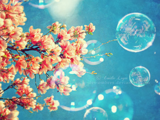 Bubbles tree branch flowers blue - a bunch of bubbles free wallpaper