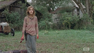 Woman field dog man gun - epic scene free wallpaper for desktop