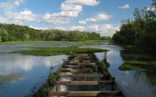 Wooden steps river cloudy sky - a grassy area in the background free wallpaper
