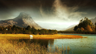Lake grass mountains bird flying - a bird in the foreground free wallpaper