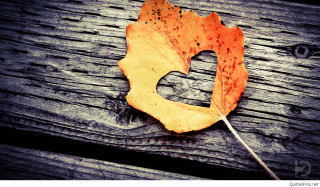 Leaf wooden surface heart shaped - romanticism free wallpaper