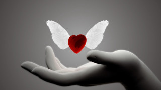 Hand heart wings flying gothic - a hand holding free wallpaper