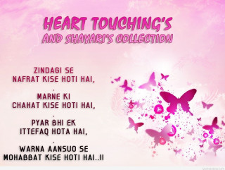 Pink background butterflies words pink - emotional free wallpaper for desktop