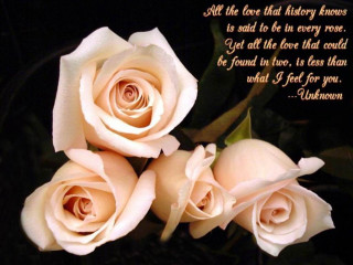 White roses bouquet poem written - a poem free wallpaper