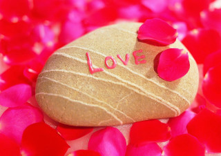 Rock heart love petals pink - petal free wallpaper