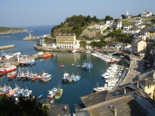 Harbor boats hillside trees buildings - zenith view free wallpaper for desktop