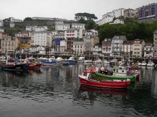 Boats lake city buildings trees - building and trees free wallpaper