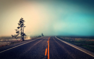 Long road lone tree foggy - the middle of the day free wallpaper