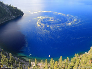 Lake forest spiral water surrounded - a large body of water free wallpaper
