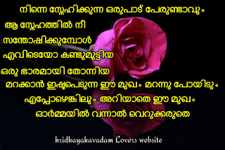 Pink rose poem dark background - a poem free wallpaper