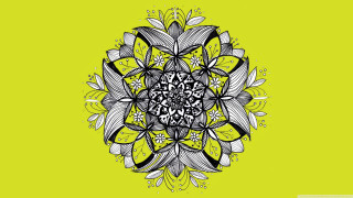 Black white flower yellow background - an abstract drawing free wallpaper