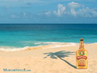 Bottle whiskey beach ocean shadow - a beach next free wallpaper for desktop