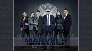 Group people marvel agents of - altermodern free wallpaper for desktop