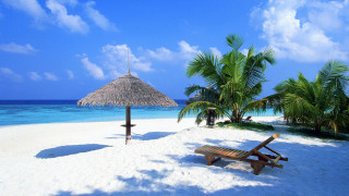 Beach palm umbrella sand sky - beach free wallpaper for desktop