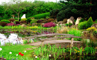 Wooden bridge pond garden flowers - movement free wallpaper for desktop