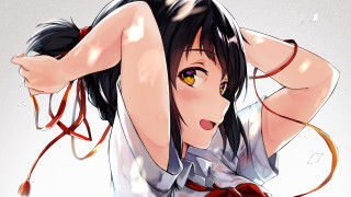 Woman tie shirt chest shoulder - a tie free wallpaper