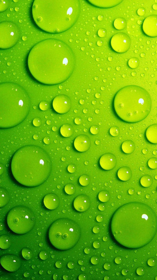Green background water drops surface - water free wallpaper for mobile