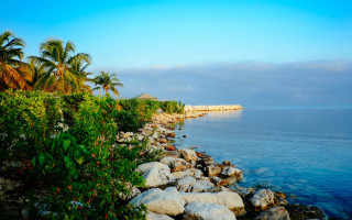 Rocky shore palm trees hut - palm tree and a hut free wallpaper