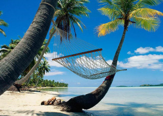 Hammock palm tree beach ocean - a hammock free wallpaper