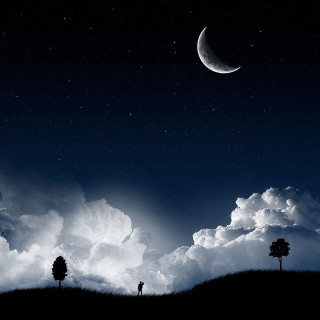 Trees grass moon clouds sky - a couple of trees free wallpaper