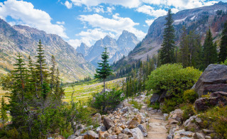 Rocky trail mountain trees grassy - a grassy field in the foreground free wallpaper