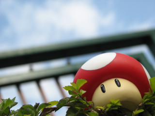 Mushroom toy tree sky bridge - a sky background and a bridge in the background free wallpaper